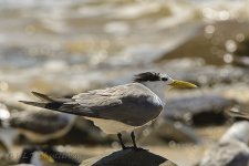 15A_7503_webshot.jpg