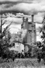 D71_2620-Edit.jpg