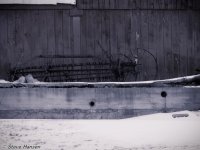 DSCN2407.jpg