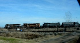 DSC_0582.jpg
