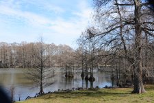 DSC_0615.jpg
