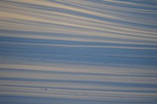 DSC_1593.jpg