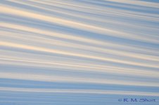 DSC_1593edit.jpg