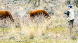 DSC_2570.jpg