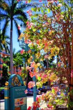 Mizner Mall   10HD.jpg