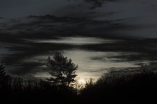 DSC_1818_1024.JPG