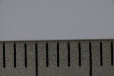 _8004143.jpg