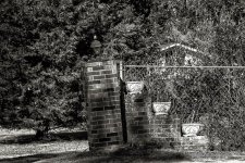 D71_2572-Edit.jpg