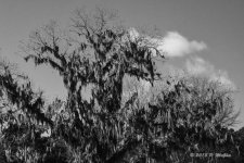 D71_2574-Edit.jpg