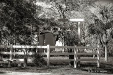 D71_2576-Edit.jpg