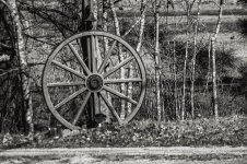 D71_2582-Edit.jpg