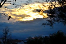 30th & 31st Jan 2015 003.JPG