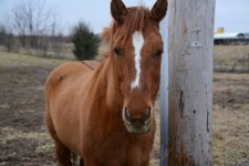 DSC_0746.jpg