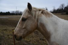 DSC_0755.jpg