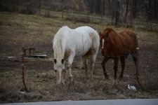 DSC_0778.jpg