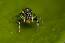 DSC_8078.jpg