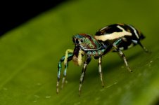 DSC_8082.jpg