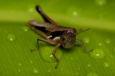 DSC_8052.jpg