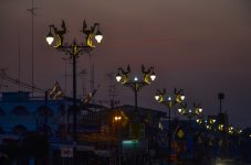 morningj-1.jpg