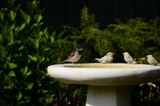 DSC_6935.jpg