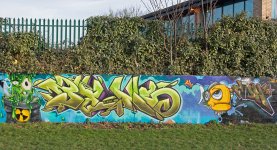 DSC_0725.jpg