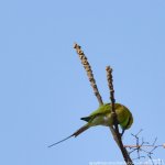FSC_0535.jpg