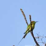 FSC_0536.jpg