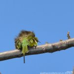 FSC_0543.jpg