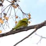 FSC_0549.jpg