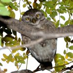 FSC_0268.jpg
