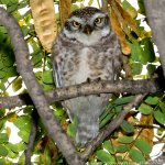 FSC_0626.jpg