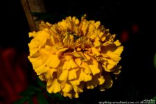 FSC_0642.jpg