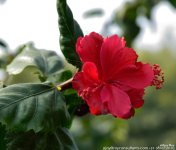 FSC_0632.jpg