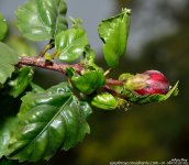 FSC_0637.jpg
