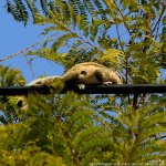 FSC_0541.jpg