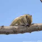 FSC_0553.jpg