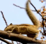 FSC_0577.jpg