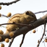 FSC_0579.jpg