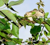 FSC_0628.jpg