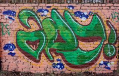 DSC_0718.jpg
