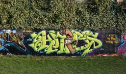 DSC_0726.jpg