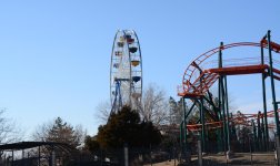 DSC_0876.jpg