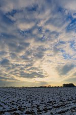 _DSC1908-1.jpg