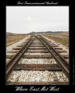 DSC_4229_Web.jpg
