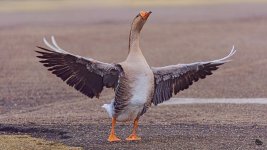 _DSC6097-Edit-1.jpg
