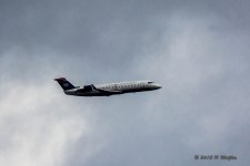 D71_2601.jpg
