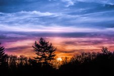 20150128-DSC_1818-Edit.jpg