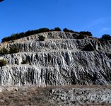 DSC_0913.jpg