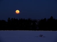 DSCN8927.jpg