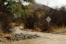 cshcreek-crop1cr.jpg